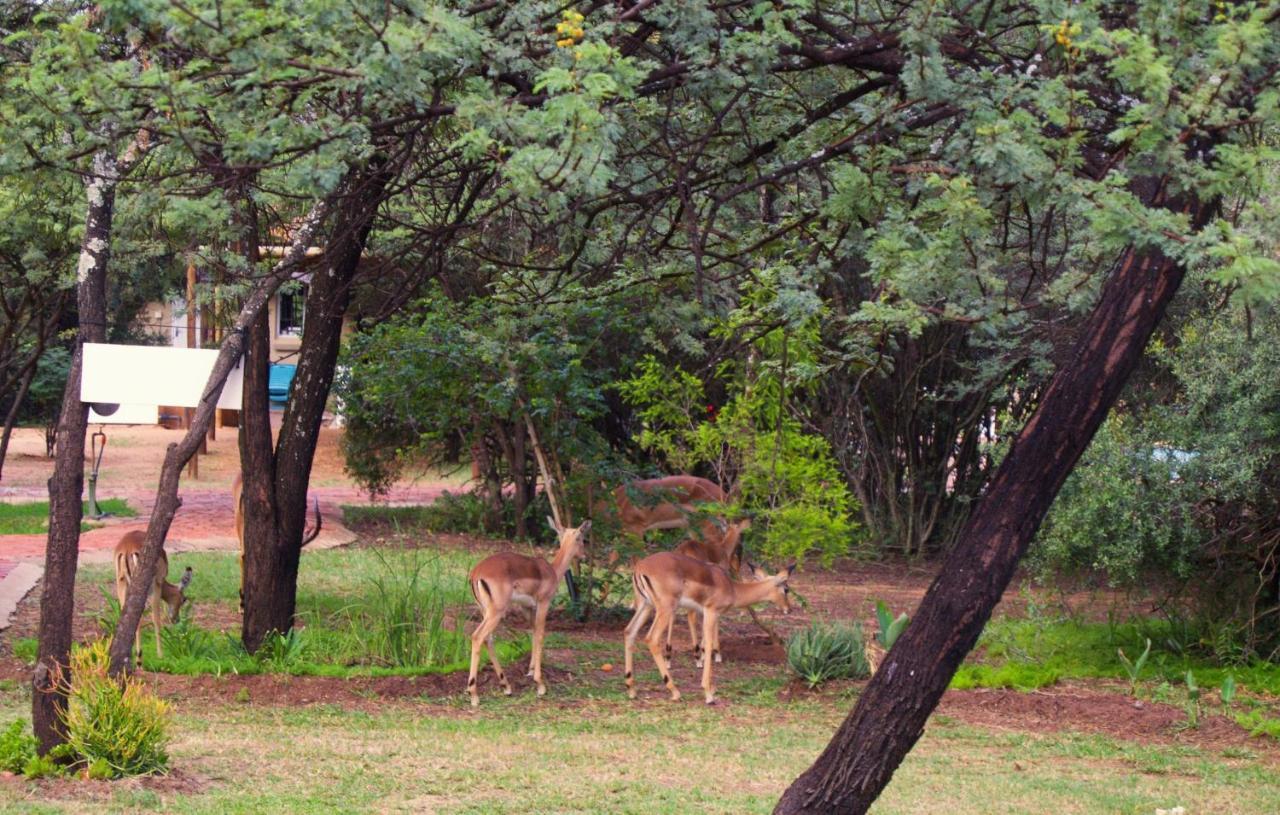 Suzie's Loft - NUDE - SunEden Family Naturist Resort Pretoria-Noord Exterior foto